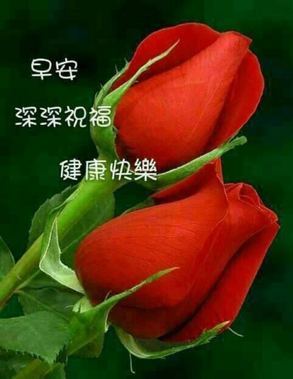 按我可連結至更清楚的圖片